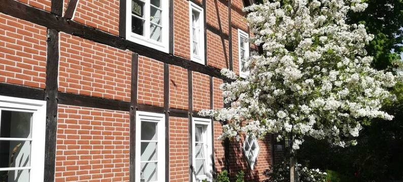 Apartment in quiet residential area, 3 min. walk to Trebbower See.图片