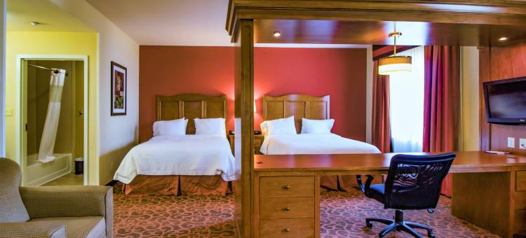 巴斯特罗普欢朋套房酒店(Hampton Inn & Suites Bastrop)图片