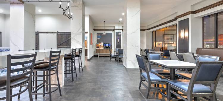 智选假日酒店达拉斯市中心(Holiday Inn Express Dallas Downtown)图片