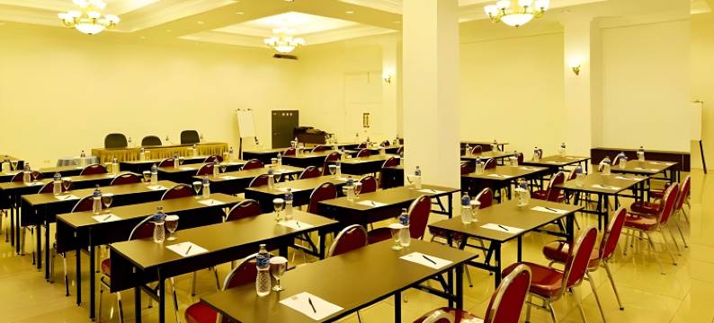 卡古姆纳里潘酒店(The Naripan Hotel)图片