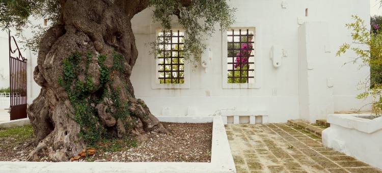 马塞里亚加鲁伯酒店(Masseria le Carrube)图片