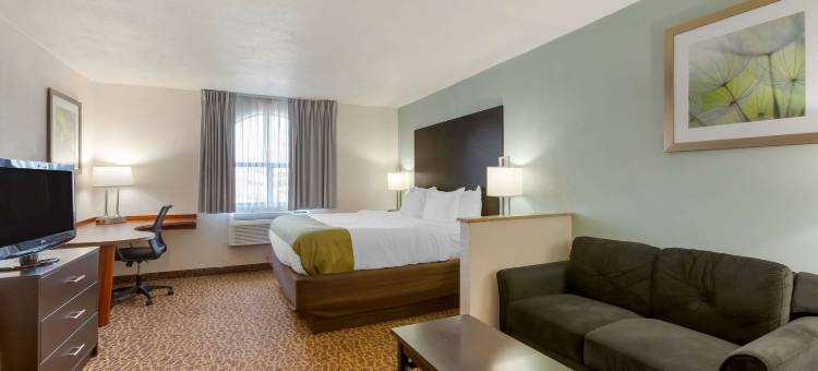 艾力西斯路凯艺酒店(Quality Inn Alexis Rd)图片