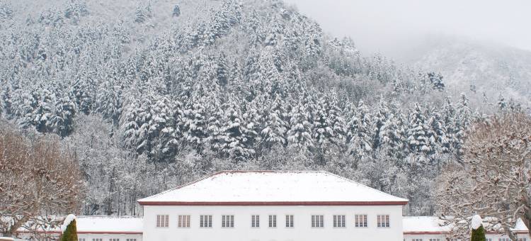 拉利特大皇宫斯里纳格酒店(The LaLit Grand Palace Srinagar)图片