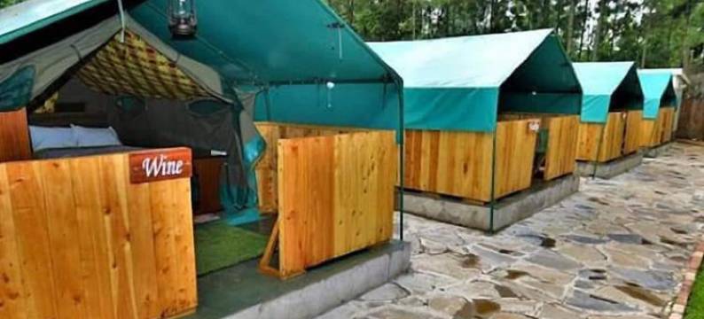 Angiri营地 - 露营地(Angiri Camp - Campsite)图片