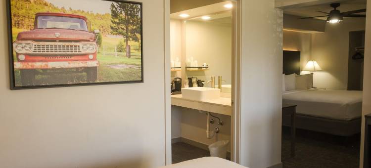 美国现代酒店(Americana Modern Hotel)图片