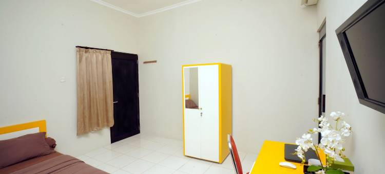 Dparagon 德维科拉(Dparagon Dwikora)图片