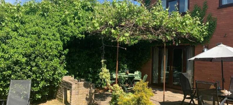 雪松之家民宿(The Cedars House B&B)图片