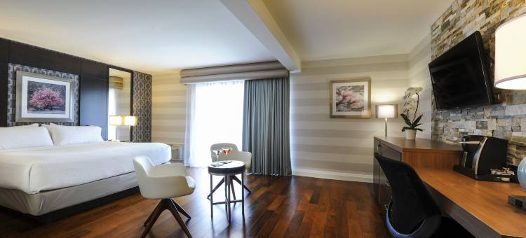 Holiday Inn 尼亚加拉瀑布 - 由瀑布(Holiday Inn Niagara Falls - by the Falls)图片