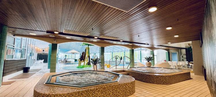 Ikaalinen温泉 & 酒店(Ikaalinen Spa & Resort)图片