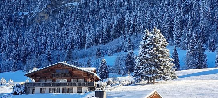勒格朗夏莱特格施塔德酒店(Hotel le Grand Chalet Gstaad)图片