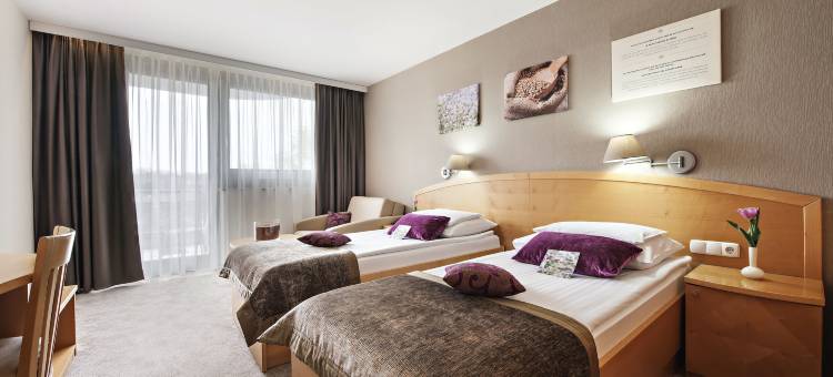 阿扎酒店 - 温泉3000 - 萨瓦酒店及度假村(Hotel Ajda - Terme 3000 - Sava Hotels & Resorts)图片