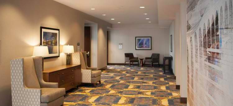 希尔顿花园酒店明尼阿波利斯大学区(Hilton Garden Inn Minneapolis University Area)图片