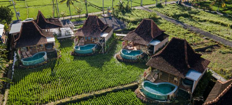 乌布 DITUJU(DITUJU Ubud by GenuineHost)图片