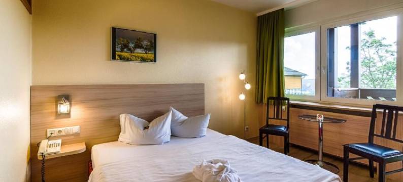 奥泊维森塔尔全景酒店(Panorama Hotel Kurort-Oberwiesenthal)图片