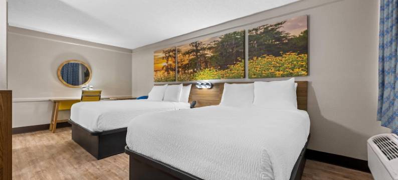 西伯明翰戴斯酒店(Days Inn by Wyndham Birmingham/West)图片