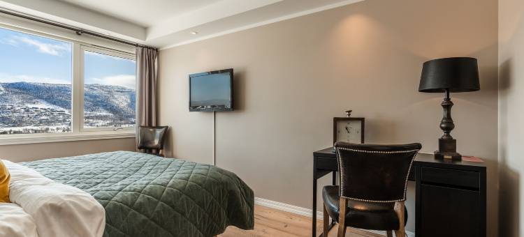 耶卢乌斯特达勒恩酒店(Ustedalen Hotel Geilo)图片