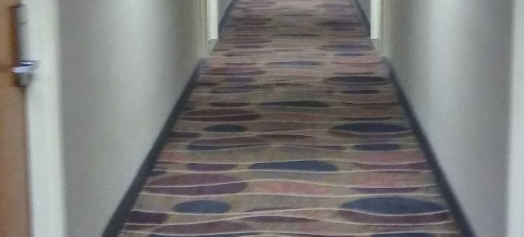 麦迪逊高地底特律地区呗盟套房酒店(Baymont by Wyndham Madison Heights Detroit Area)图片