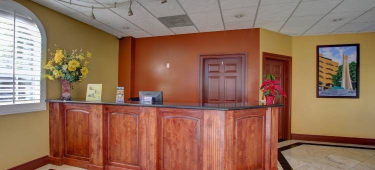 雷鸟旅舍酒店(Thunderbird Lodge)图片