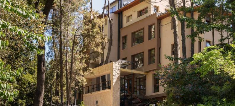 纳乌艾尔乌森林 Spa 精品酒店(Boutique Hotel & Spa Bosque del Nahuel)图片