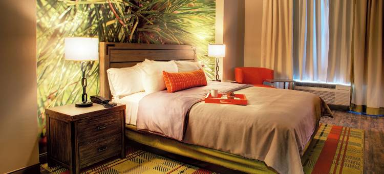 英迪格酒店-特拉弗斯市(Hotel Indigo Traverse City)图片