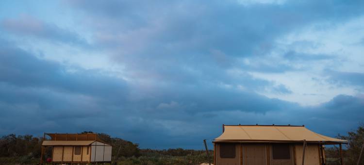 Viatura Hacienda Xtojil, Yucatan, 梅尼达, 可选全包(Viatura Hacienda Xtojil, Yucatan, Merida, with Optional All Inclusive)图片