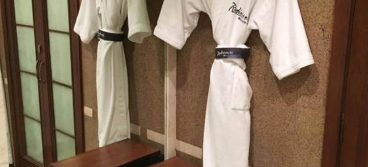 诺伊达丽笙MBD酒店(Radisson Blu MBD Hotel Noida)图片