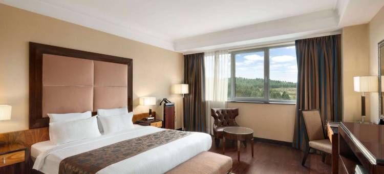 杰夫格里雅温德姆华美达广场酒店(Ramada Plaza by Wyndham Gevgelija)图片