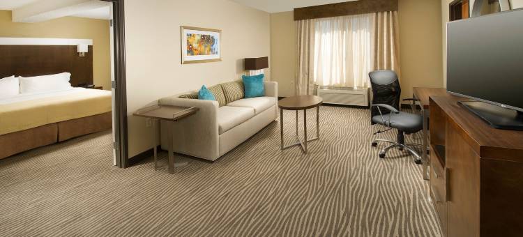 埃尔帕索机场假日酒店(Holiday Inn EL PASO AIRPORT by IHG)图片
