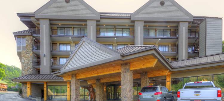波茵特市区-加特林堡克拉丽奥酒店(Clarion Pointe Downtown Gatlinburg)图片
