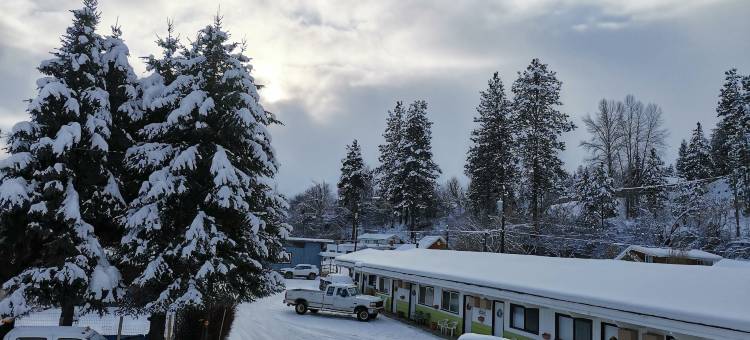雪松汽车旅馆(Cedars Motel)图片