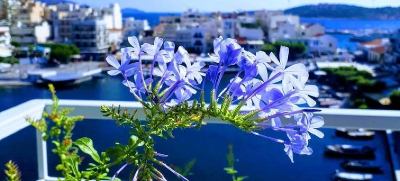 翡翠湖开放式公寓酒店(Emerald Lake Studios)图片