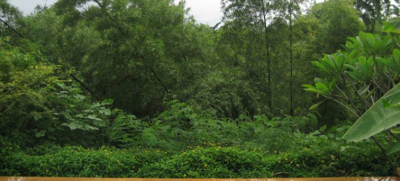 柚木别墅(Teakwood Villa)图片