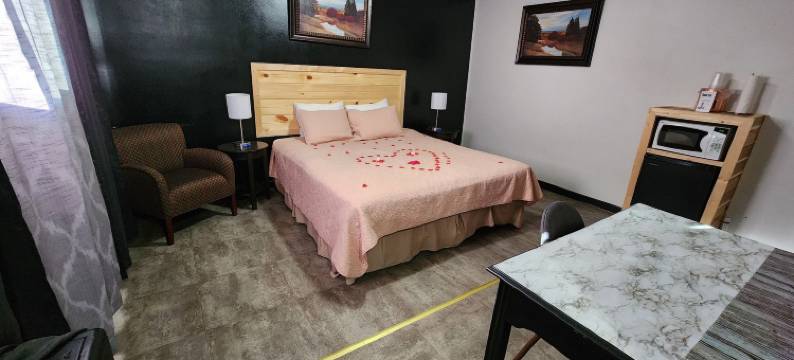 节庆城市汽车旅馆(Fiesta City Motel)图片