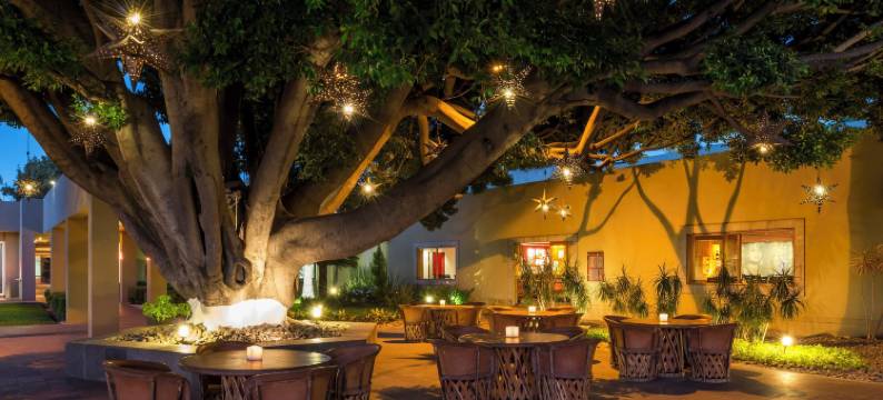 瓜达拉哈拉卡米诺里尔酒店(Camino Real Guadalajara)图片