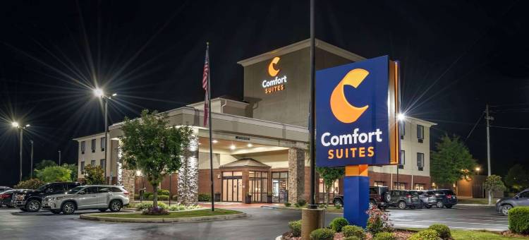 佩尔城靠近洛根马丁湖的康福特套房(Comfort Suites Pell City Near Logan Martin Lake)图片