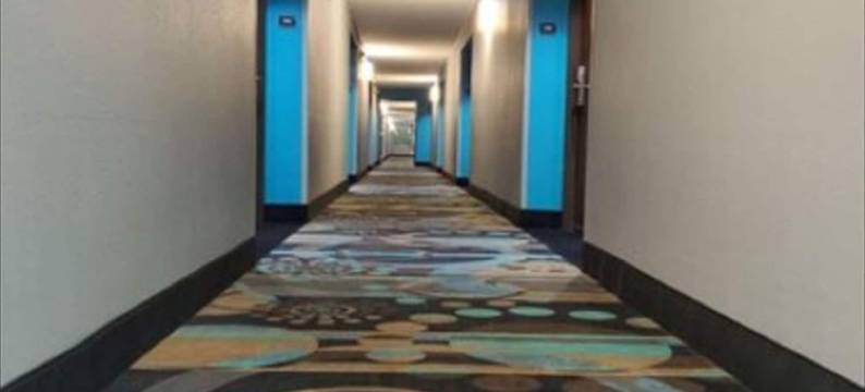 普莱诺贝斯特韦斯特舒尔泰普拉斯酒店(SureStay Plus Hotel by Best Western Plano)图片