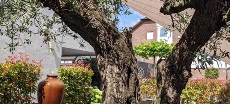 施马坦多尔夫餐厅酒店(Hotel Schmachtendorf)图片