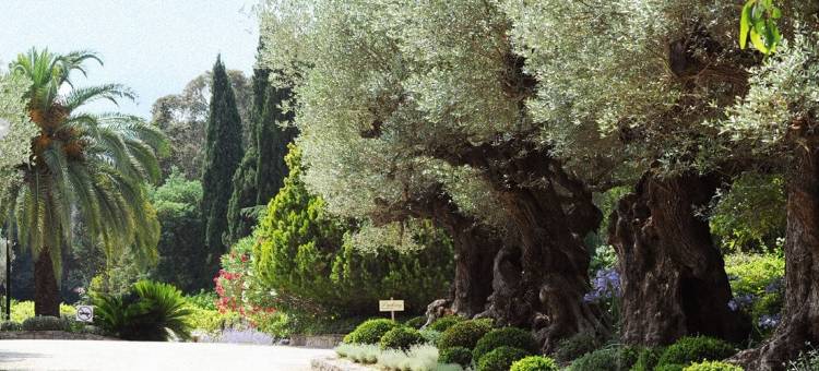 杜梦莱斯美瑟恩奇住宿加早餐旅馆(Domaine les Mésanges)图片
