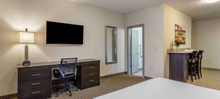 住宿一晚套房酒店(Stay-over Suites - Fort Gregg-Adams Area)图片