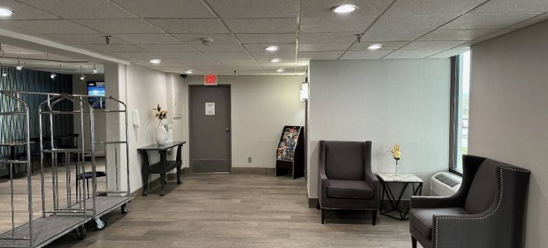 舒适套房酒店(Comfort Inn & Suites)图片