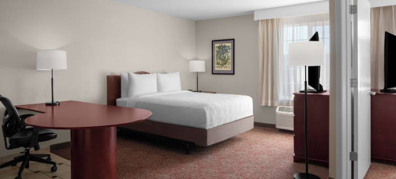 拉克斯珀长住套房酒店南旧金山(Larkspur Landing Extended Stay Suites South San Francisco)图片