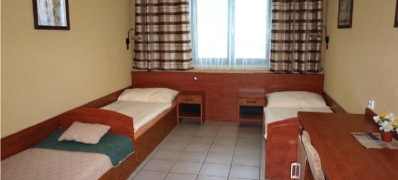 德瑞休闲酒店(Hotel Relax u Drsů)图片