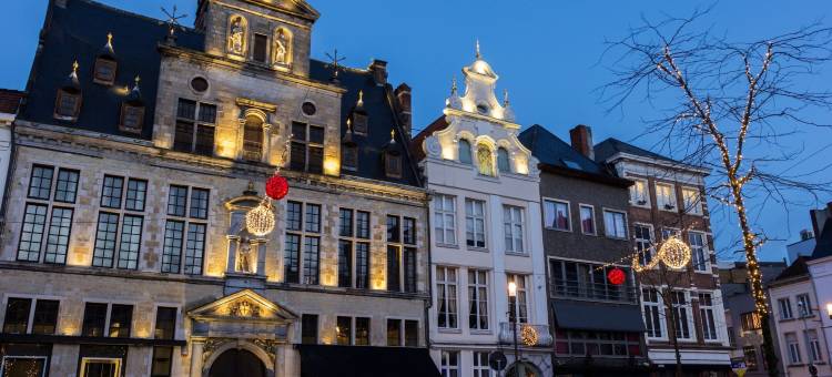 Holiday Inn Express 梅赫伦市中心(Holiday Inn Express Mechelen City Centre)图片