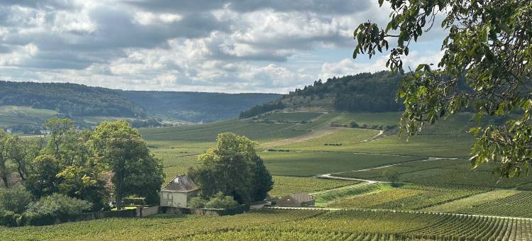 Les reveries du Clos derrière St Jean图片