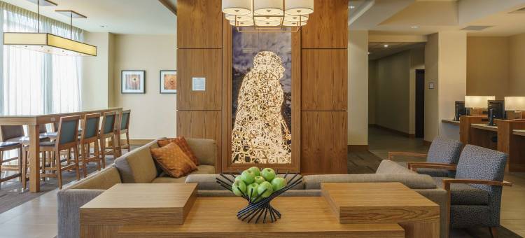 休斯顿/购物中心凯悦嘉轩酒店(Hyatt Place Houston/Galleria)图片