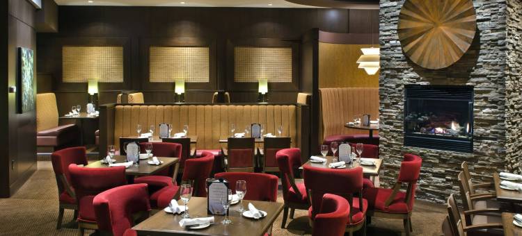 尼亚加拉瀑布万豪万怡酒店(Courtyard Niagara Falls)图片