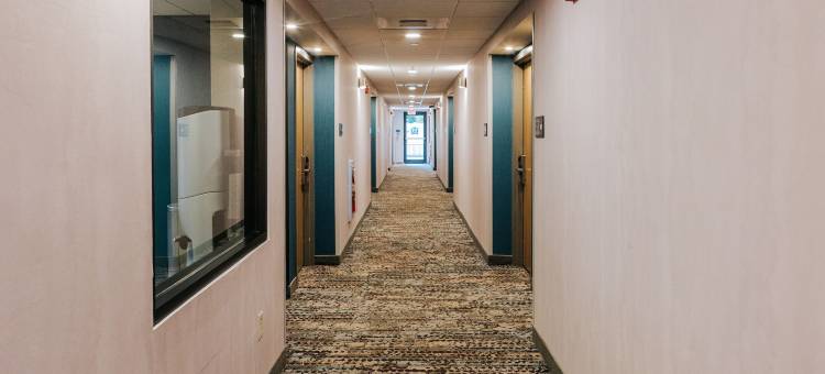 希尔顿欢朋酒店-瑞和柏斯海滩(Hampton Inn Rehoboth Beach)图片