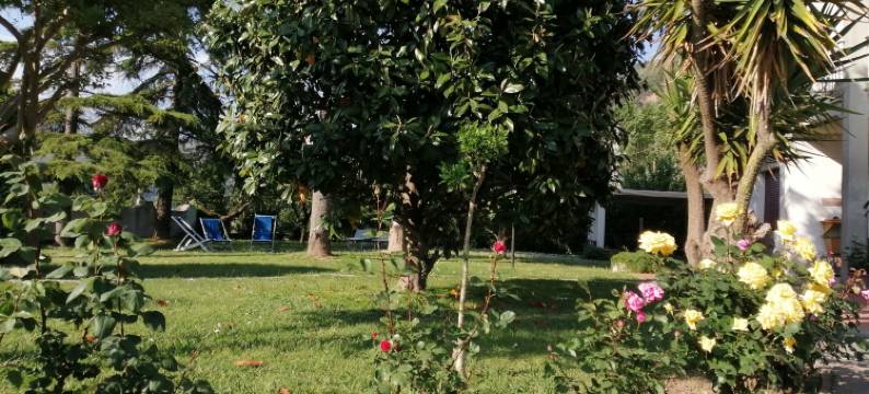 奥西住宿加早餐旅馆(Villa Oasi)图片