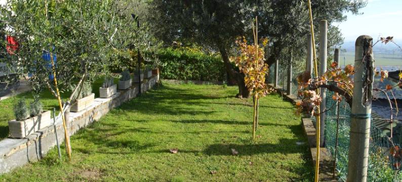 A1吉拉索尔住宿加早餐旅馆(A1 Girasole B&B)图片