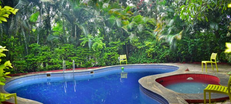 海豚度假村(Dolphin Resort)图片